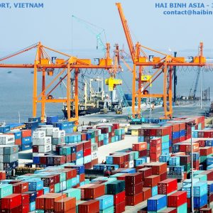 Vận tải đường biển - Công Ty TNHH Hải Bình Châu á